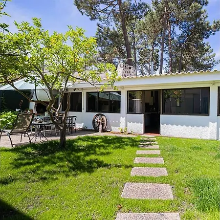 Chalet Verdizela's Pool And Garden