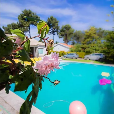 Verdizela's Pool And Garden Chalet Corroios