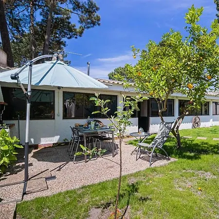 Verdizela's Pool And Garden *