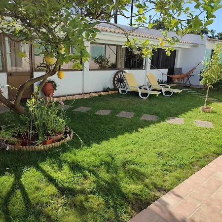 Verdizela's Pool And Garden * Corroios